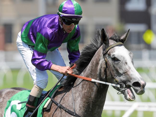 Jockey Nash Rawiller returns to scale after riding Fritz's Factor to victory in race 3, the TAB Highway Handicap during the Sydney Metro Races at Randwick Racecourse in Sydney, Saturday, December 28, 2019. (AAP Image/Simon Bullard) NO ARCHIVING, EDITORIAL USE ONLY