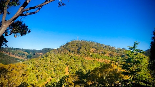 The expansion of White Rock Quarry will require the flattening of Mount Sky (pictured) which currently serves as a natural buffer for noise and dust.