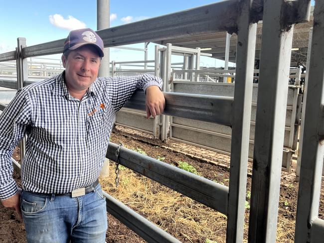 Justin Costello from Costello Rural at the Wodonga store cattle sale. Corryong will have about 1100 cattle for sale at the centre's once a year offering, and all will be fully inducted with vaccines. Pic yarn for livestock.