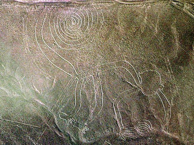 An aerial photo of the famed spiral-tailed monkey seen like it is losing its tail in Nazca, Peru. Part of the mysterious Nazca Lines. Picture: AP Photo/Peruvian Air Force