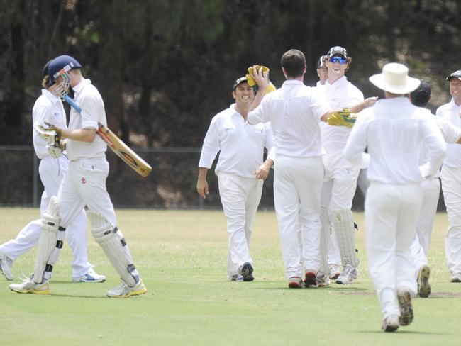 Berowra batting v Asquith cricket at Berowra Park Asquith celebrate a caught and bowled of Berowra batsman Max Sleeman.