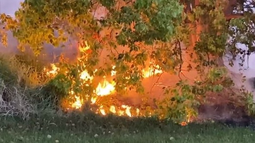 The grass fire at Carrara on Tuesday. Picture: Dean Shelton