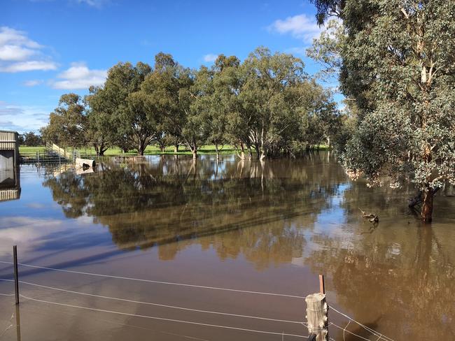 Flood water at a property east of Condobolin.