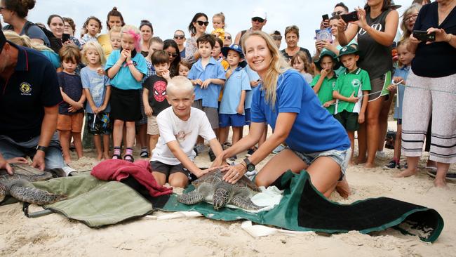 Preparing to release Whistler, the rescued sea turtle back into the ocean at Kingscliff Beach this week were Joey and Jen Slape in front of a huge group of 'well wishers'. Photo: WENDY POWICK