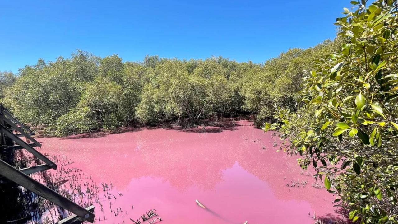 The water at Boondall Wetlands has become bright pink. Picture: Reddit.