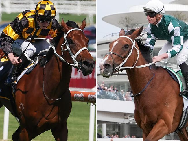 Chris Waller's star mares Joliestar (left) and Via Sistina have been well supported by punters for their respective comeback races at Royal Randwick on Saturday.