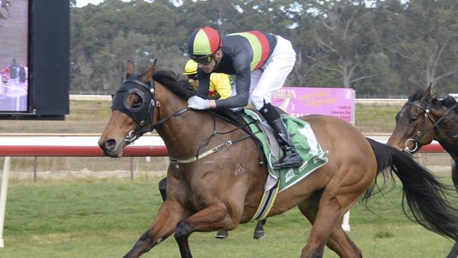 Soho Sushi can end her preparation on a winning note at Goulburn. Picture: Bradley Photos