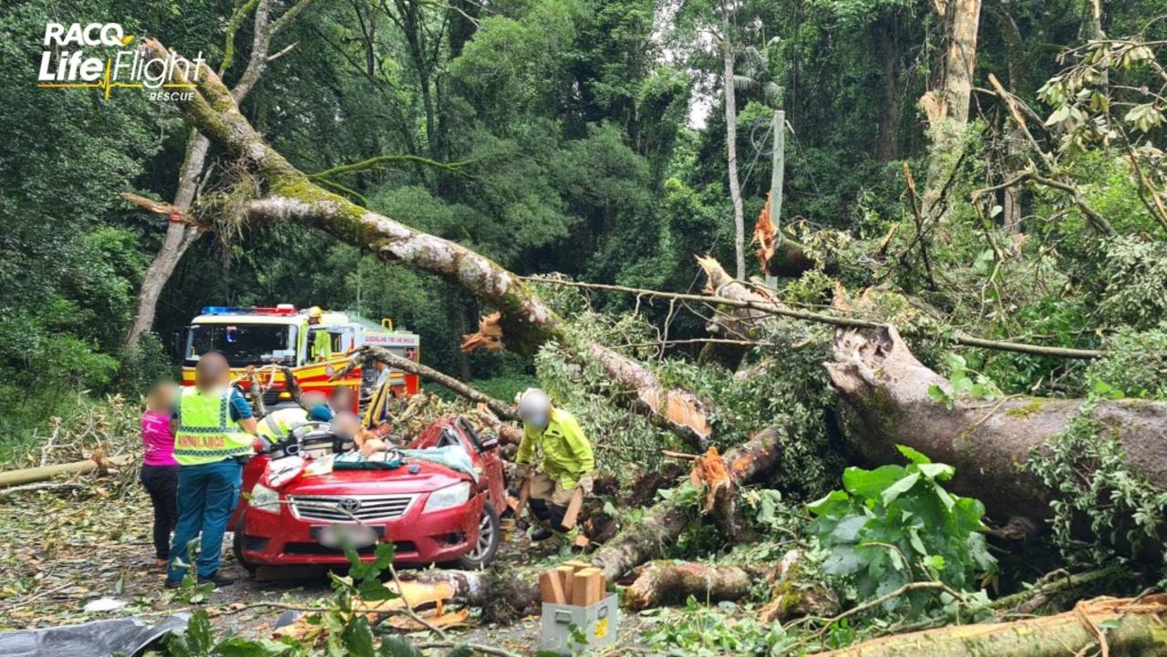 A man has been flown to hospital after a large tree fell and crushed his car. Photo: Lifeflight