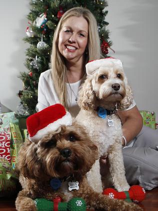 Pet owners indulge their pets and treat them like a family member. Picture: Bianca De Marchi