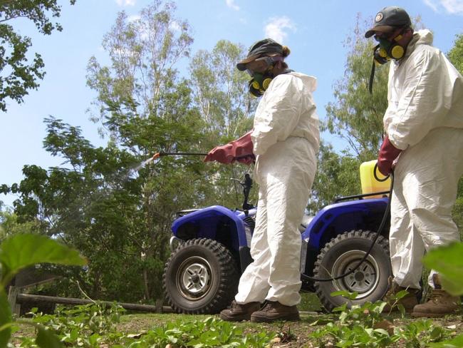 Rangers Lynn Schluter and Patrick Salter of the Bowling Green Bay National Park, Alligator Creek, spraying Snake weed. Picture: Scott Radford-chisholm  sr323003 P18//Rangers Lynn Schluter and Patrick Salter of the Bowling Green Bay National Park, Alligator Creek, spraying Snake weed. Picture: Scott Radford-chisholm  sr323003