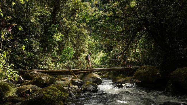 A bridge crossing on the Kokoda Trek. Picture: Brad Fleet