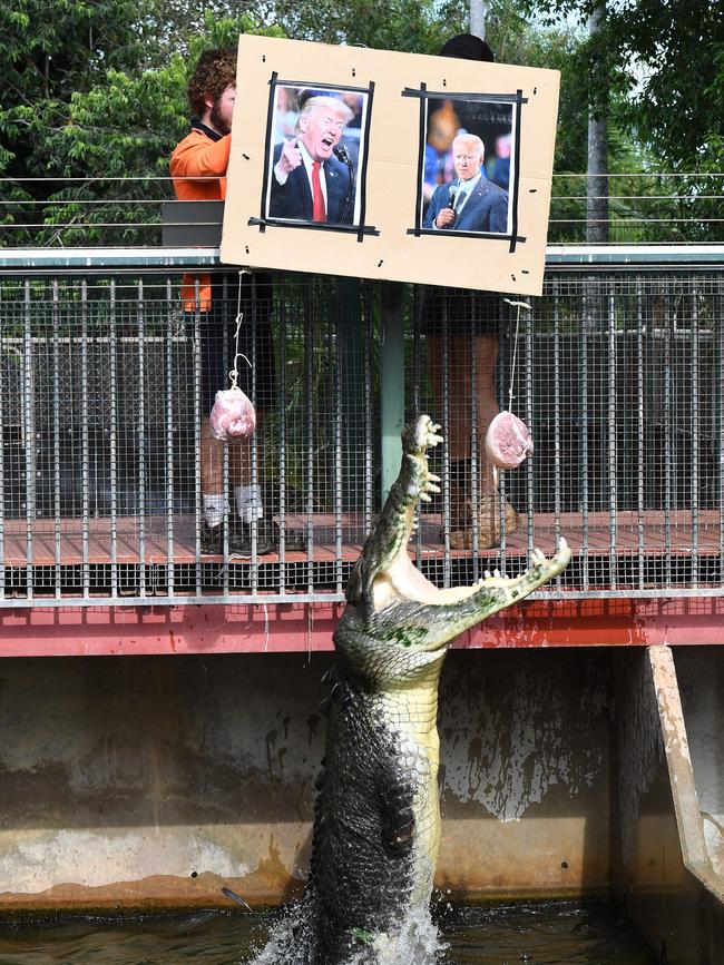 Muscles didn’t hesitate to chow down on US presidential candidate Joe Biden. Picture KATRINA BRIDGEFORD