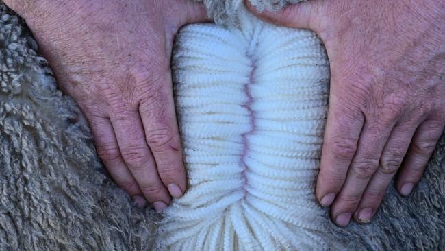 Industry is still trying to find a use for the costly WoolQ.