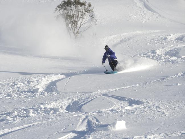 The snow in Thredbo this year is a looooot deeper than anything Torah saw in Russia.