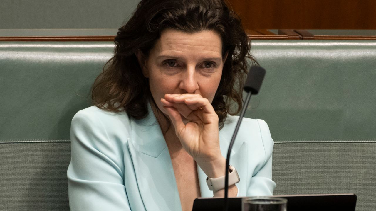 Allegra Spender Says It Will Be ‘damaging’ For Peter Dutton And The ...