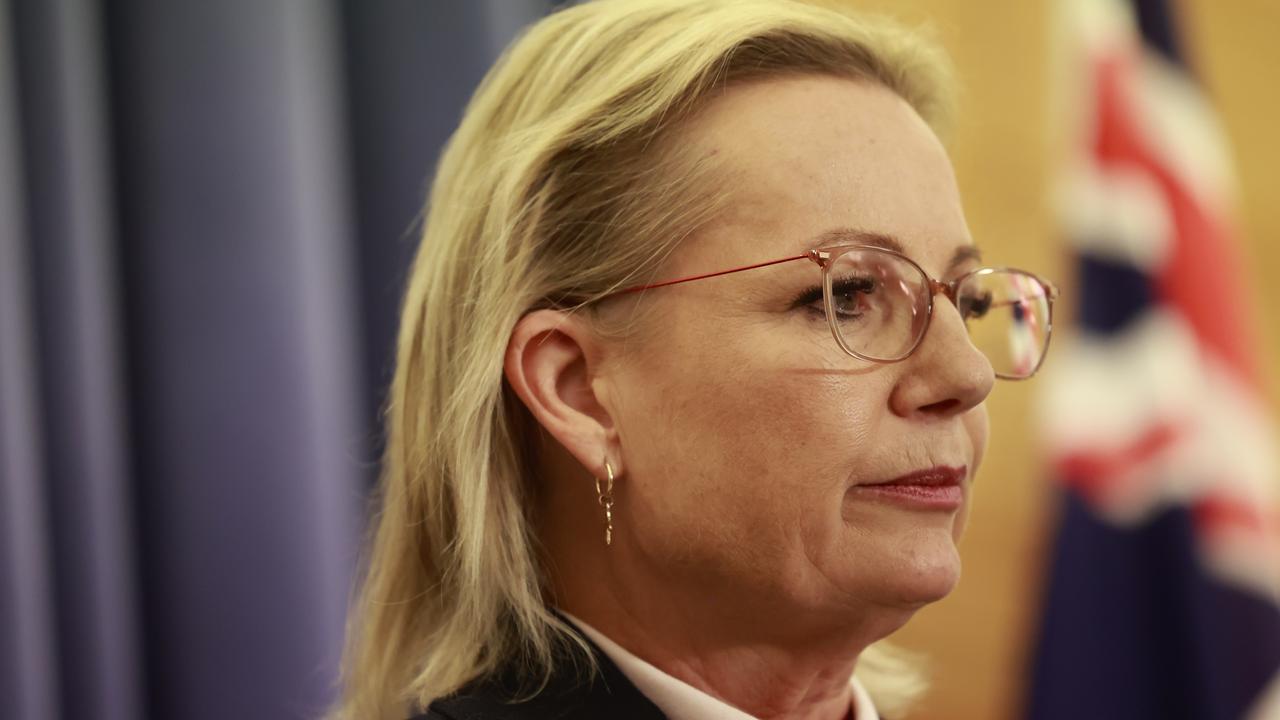 Leader of the Liberal Party, Sussan Ley. Picture: Hilary Wardhaugh / Getty Images