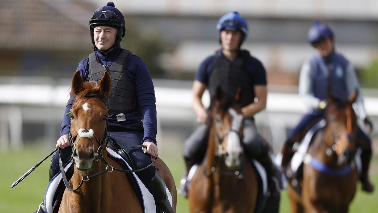 Vauban leads his stablemates at Werribee. Picture: |Michael Klein