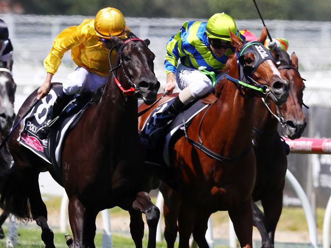 Savanna Amour, ridden by Joao Moreira (yellow), takes out the Angus Armanasco Stakes in February. Picture: Michael Klein