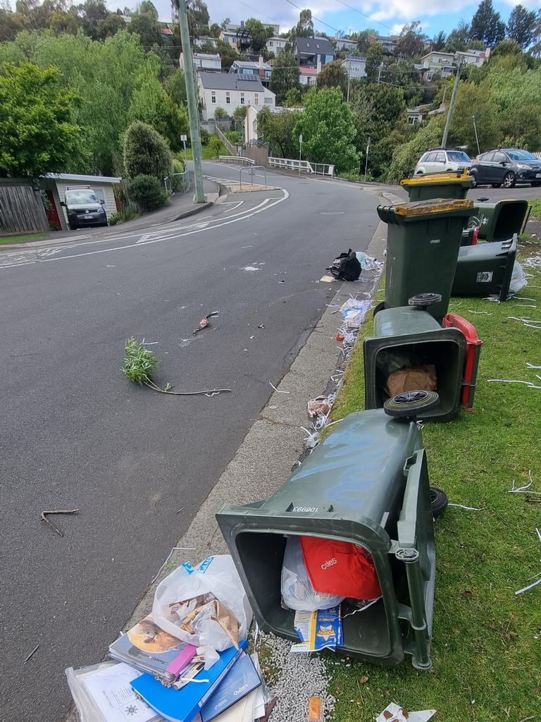 After severe gusts of wind, more rubbish is flying around the South Hobart area. Hobart Rivulet Platypus and Platypus Guardian documentary maker Pete Walsh rescued a female platypus entangled in rubbish. Photo: Supplied/Pete Walsh