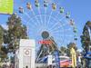 Major parking squeeze set to grip Royal Showgoers