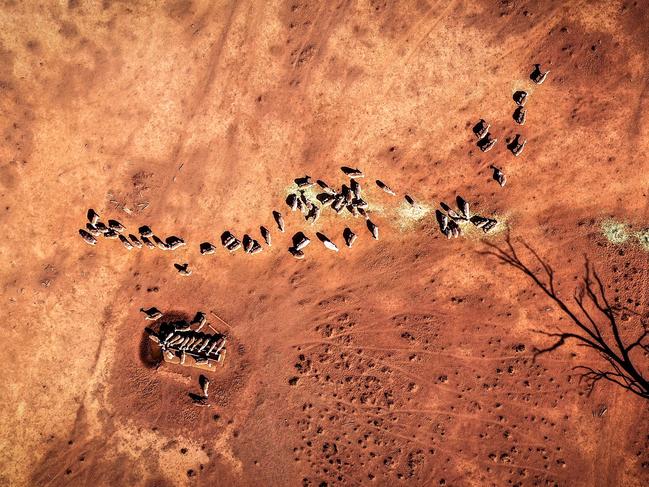 The map shows worrying deficiencies in food-growing areas and water storage areas across the country. Picture: Getty Images.