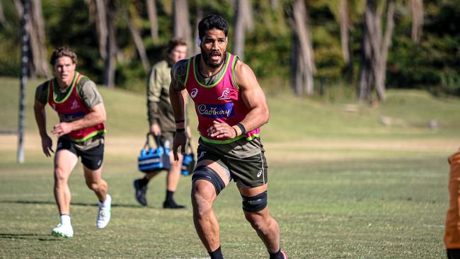 Sitaleki Timani says he has never trained so hard since arriving at Wallabies camp. Photo: Wallabies media, Andrew Phan