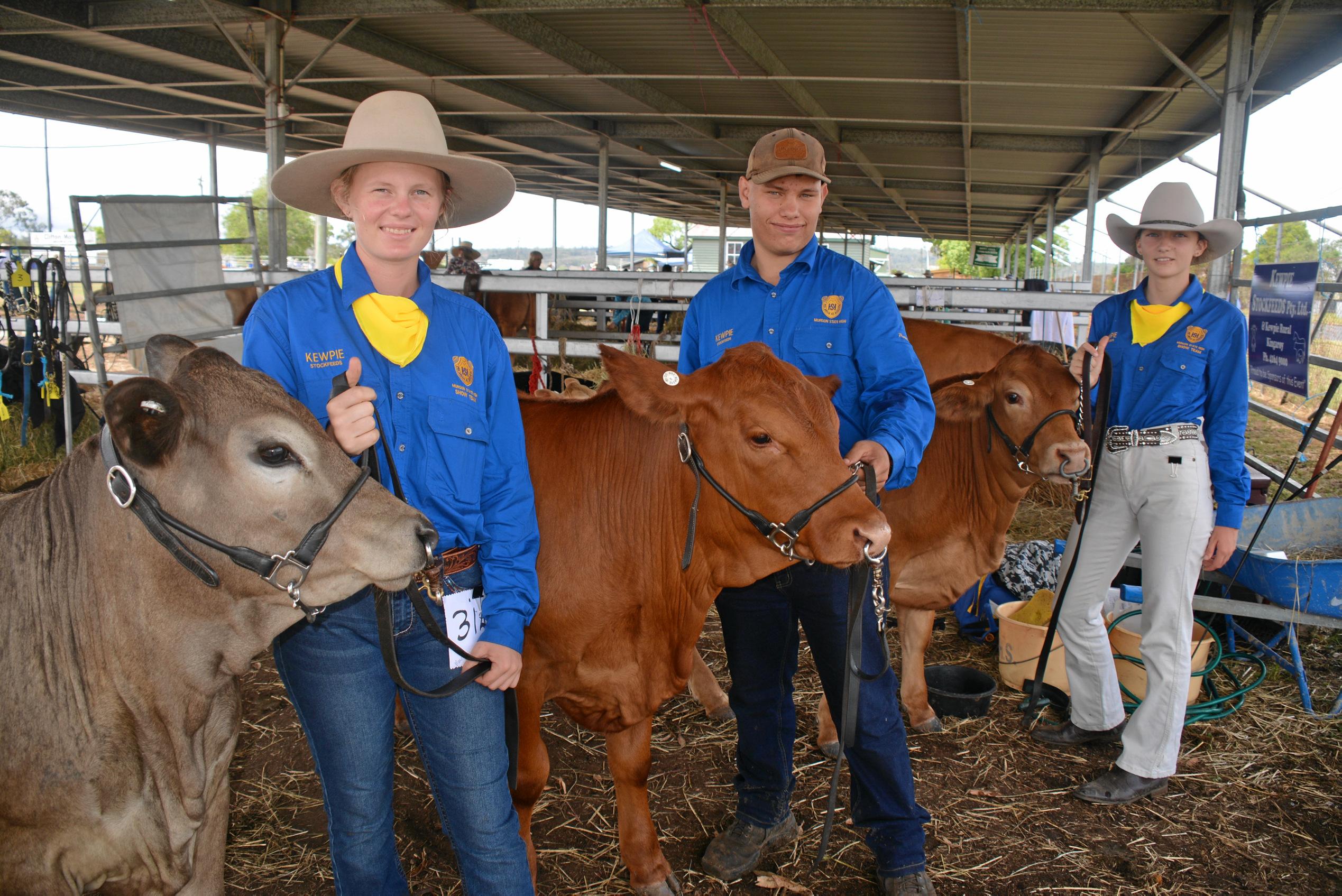 Murgon Show cattle showing | The Courier Mail