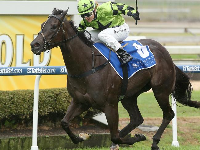 Races at Doomben. Winner race 1, number 6, Pienkna, jockey Tegan Harrison. Pic Jono Searle.