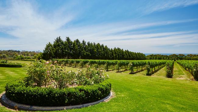 The stunning grounds at the Morning Star property in Mount Eliza.