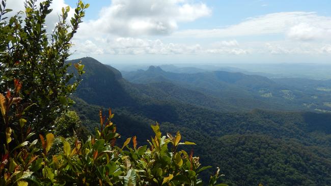 The view from "Best of All Lookout' Springbrook Photo by Bob Fairless