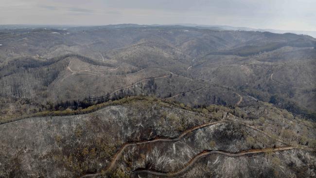 Simpson allegedly claimed his vehicle had been burned in the Cudlee Creek fire of December 2019. Picture: Naomi Jellicoe