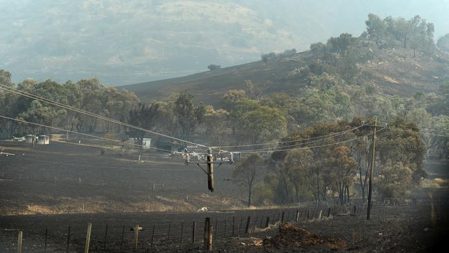 Burnt down power poles around Cudgewa. Picture: Tony Gough