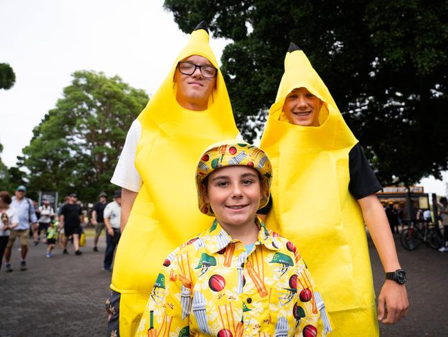 James and Dom Gibbons with their brother Harlem dress up in yellow to support Australia at the beginning of the 5th test at the SCG. Photo: Tom Parrish