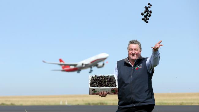 High hopes: Cherry exporter, Tim Jones, of Wandin Valley Farms, at Melbourne Airport. Picture: Andy Rogers