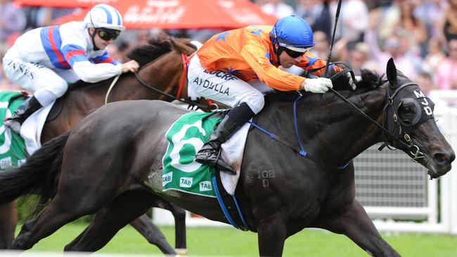 Photographs: Simon Bullard. Race 5 - 3:05PM TAB HIGHWAY HANDICAP (1400 METRES). Winner 'Hermosa Beach' ridden by Brenton Avdulla.
