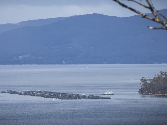 Salmon farming pens in the channel between Margate and Bruny Island. Picture: Luke Bowden