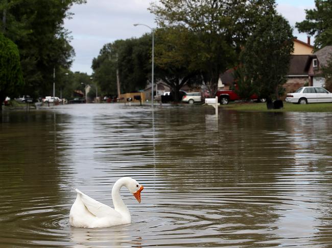 Standing water continues to impact neighborhoods in north Houston as flood waters began to recede following Hurricane Harvey August 30, 2017 in Houston, Texas. The city of Houston is still experiencing severe flooding in some areas due to the accumulation of historic levels of rainfall, though the storm has moved to the north and east. Picture: AFP