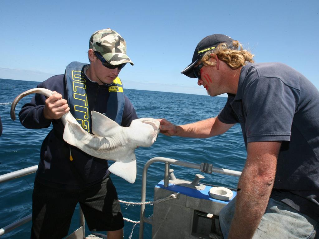 A fisherman with a spurdog shark in Port Phillip Bay, Victoria.