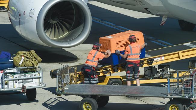 Qantas airport baggage handlers are among 2400 ground staff to have their jobs outsourced.