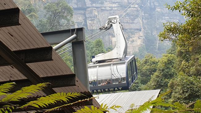 The Scenic Cableway glides over forest, descending gently to the valley floor. Picture: Isabell Petrinic