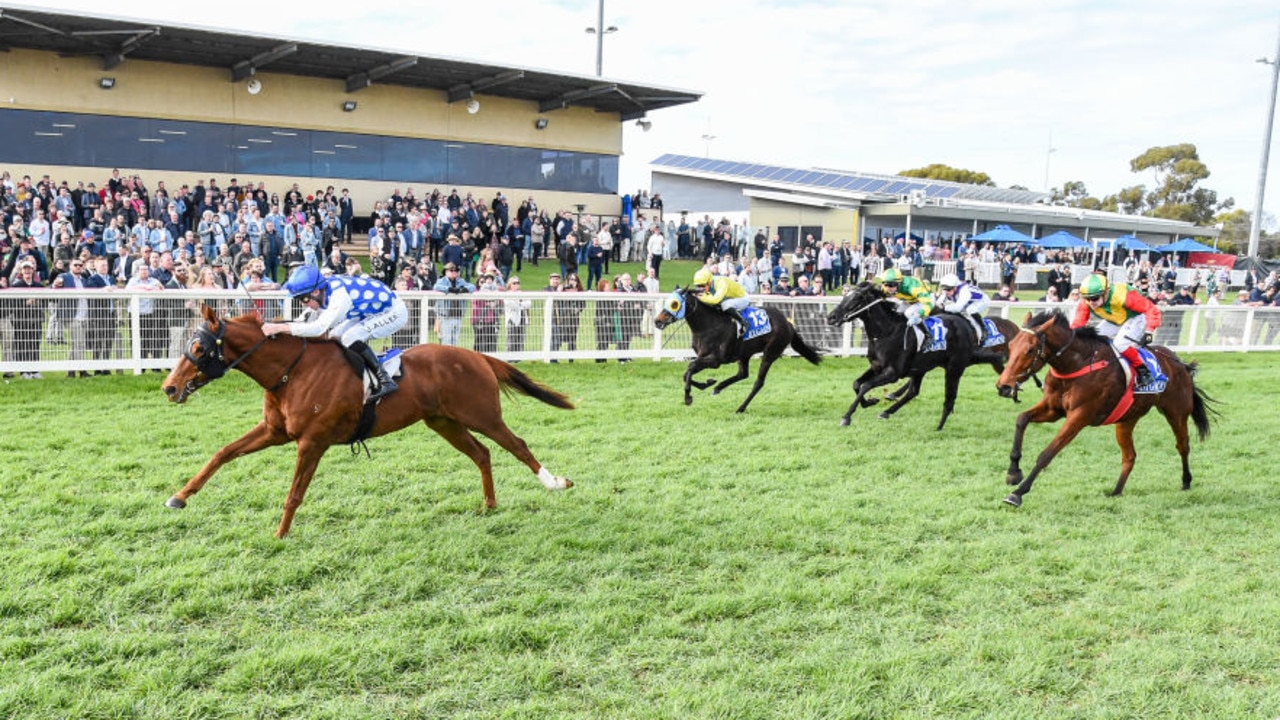 Cosmic Enigma ridden by John Allen wins the The Federal Hotel Swan Hill Maiden Plate at Swan Hill Racecourse on June 11, 2023 in Swan Hill, Australia. (Photo by Brett Holburt/Racing Photos via Getty Images)