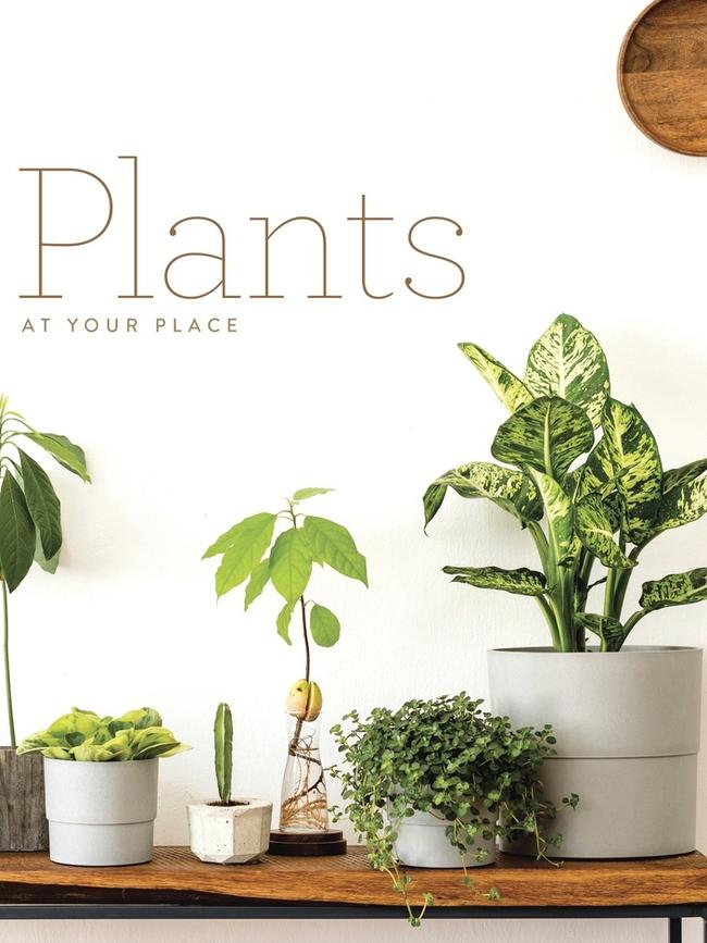 Have a friend who stuggles to grow plants? <i>Plants at Your Place </i>will help them out.