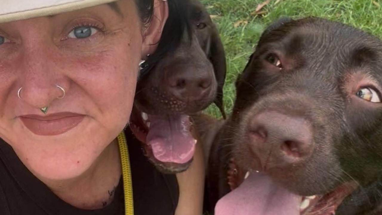Gold Coast dog trainer ‘very lucky’ after drunk drive accident, court hears