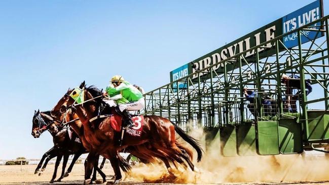 Jockeys explode out of the gates during the Birdsville Races.