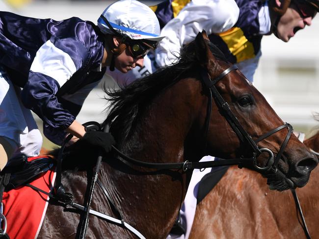 Johannes Vermeer ridden by Katelyn Vermeer (left) gallops to the starting barrier before the Ladbrokes Caulfield Guineas on Caulfield Guineas Day at Caulfield racecourse in Melbourne, Saturday, October 14 , 2017. (AAP Image/Julian Smith) NO ARCHIVING, EDITORIAL USE ONLY