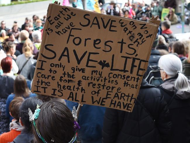 MELBOURNE, AUSTRALIA - NewsWire Photos, AUGUST 12, 2023. Rally on Victorian Parliament steps in Melbourne to call for an end to native forest logging nationwide. Picture: NCA NewsWire / Josie Hayden