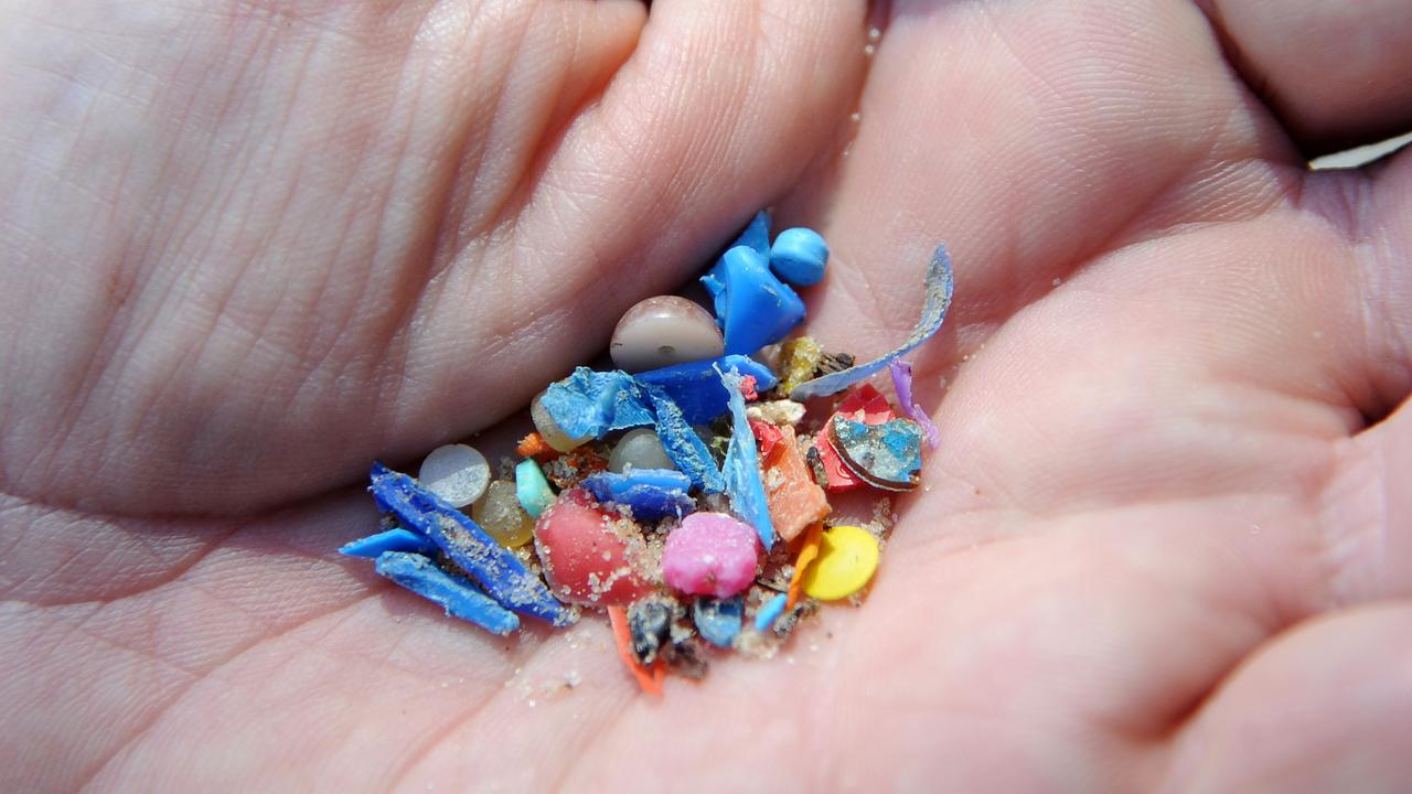 Microplastics found at Manly Cove in Sydney. Picture: Elenor Tedenborg