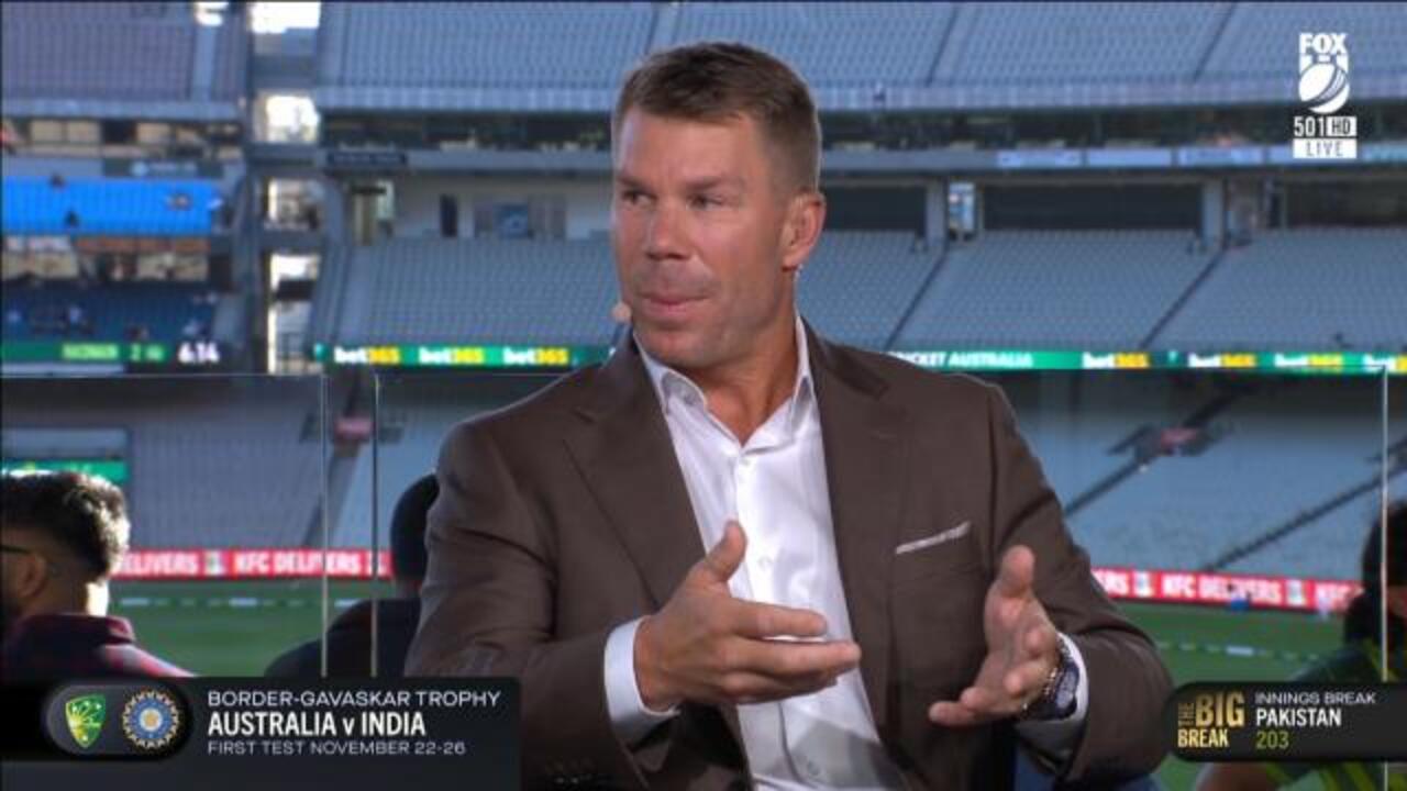 Warner reveals flaws in possible openers