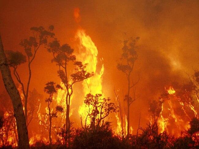 The current bushfire emergency shows no sign of easing in northern NSW & southern Queensland. Areas hard hit include Qld towns of Canungra, Sarabah, Stanthorpe, Applethorpe & across into NSW the towns of Tenterfield, Drake & Angourie south of Yamba. Picture: Fire & Rescue NSW Station 468