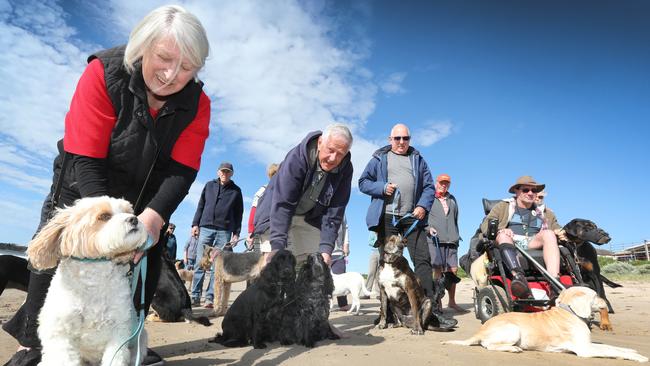 A group of more than 30 Victor Harbor residents gathered on their favourite beach to show their opposition of the proposed changes to the dog by-laws including Margaret Morgan with Zoe, and Steve Robinson, with Mollie and Freida, among their dog walking friends. Picture: Dean Martin